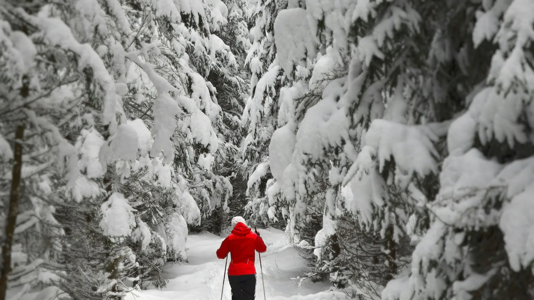 20 Creative Writing Ideas to Bring the Magic of Winter into Your Journal
