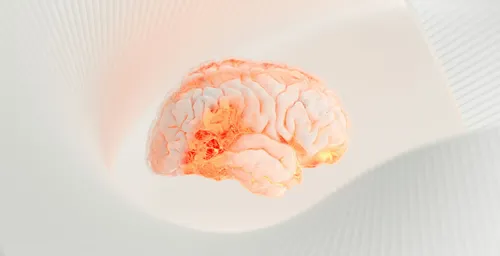 Silent Scream of the Mind: Does the Brain Get Tired, What Is Brain Fatigue?