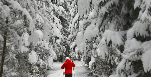 20 Creative Writing Ideas to Bring the Magic of Winter into Your Journal