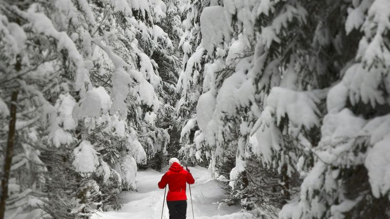 20 Creative Writing Ideas to Bring the Magic of Winter into Your Journal